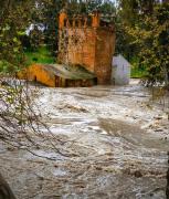 Top Alcalá de Guadaira