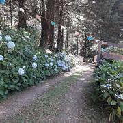 Top São Francisco de Paula