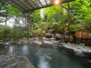 Top Shikabe