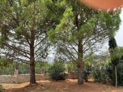 Top Ancient Epidavros