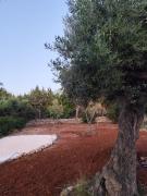 Top Ostuni