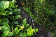 Top Ubud