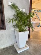 Top Watamu