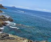 Top Costa Del Silencio