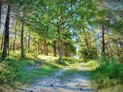 Top Auriac-du-Périgord