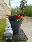 Top Ozoir-la-Ferrière