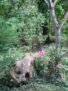 Top Samois-sur-Seine