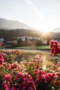 Top Kitzbühel