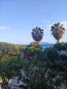Top Porto Lafia