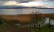Top Pogradec