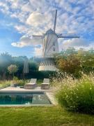 Top Sint-Gillis-Waas