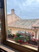 Top Montepulciano