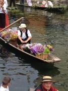 Top Fontaine-de-Vaucluse
