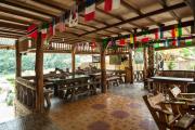 Top Bukit Lawang