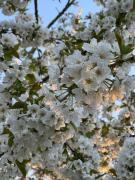 Top Corcelles-les-Arts