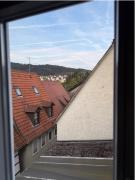 Top Hirschhorn