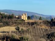 Top Urbino