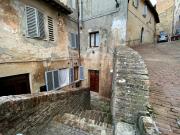 Top Urbino