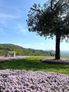 Top Serravalle Pistoiese