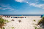 Top Oak Island