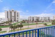 Top New Smyrna Beach