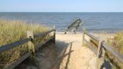 Top North Cape May