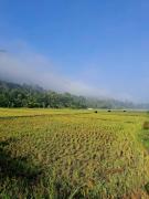 Top Chinnakanal