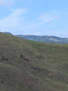 マッチョドラゴン荘