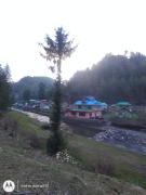 Top Jibhi