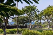 Top Waikoloa