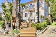 Top Cannes