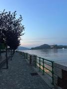 Top Arona