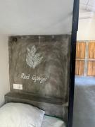 Lazy Monkey Surf Hostel