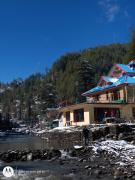 Top Jibhi