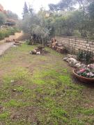 Loft con giardino in zona Appia Antica