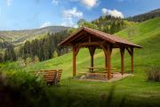 Top Oberharmersbach