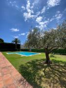 Top SAgaro