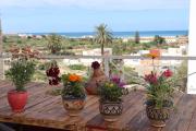 THE ARTIST Hostel Surf & Art