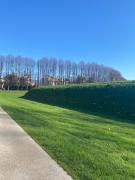 Top Lucca
