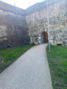 Top Lucca