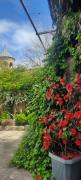 VILLA SABA WITH TWO BEDROOMS- სასტუმრო საბა