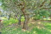 Top Oak Island