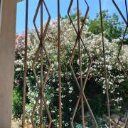Top Cipressa