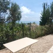 Top Cipressa