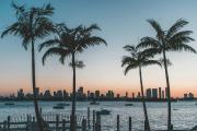 Top Miami Beach