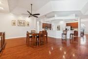 Top Tarpon Springs