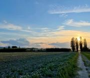 Affittacamere IL FAGIOLO MAGICO