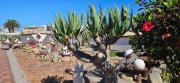 Family Retreat close to the beach