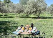 Top Maussane les Alpilles