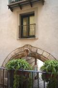 Top Salerno